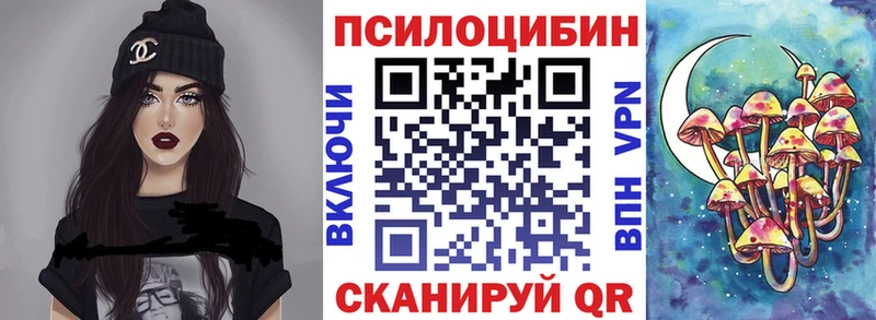 Галлюциногенные грибы Psilocybine cubensis  Купить где  Балей 